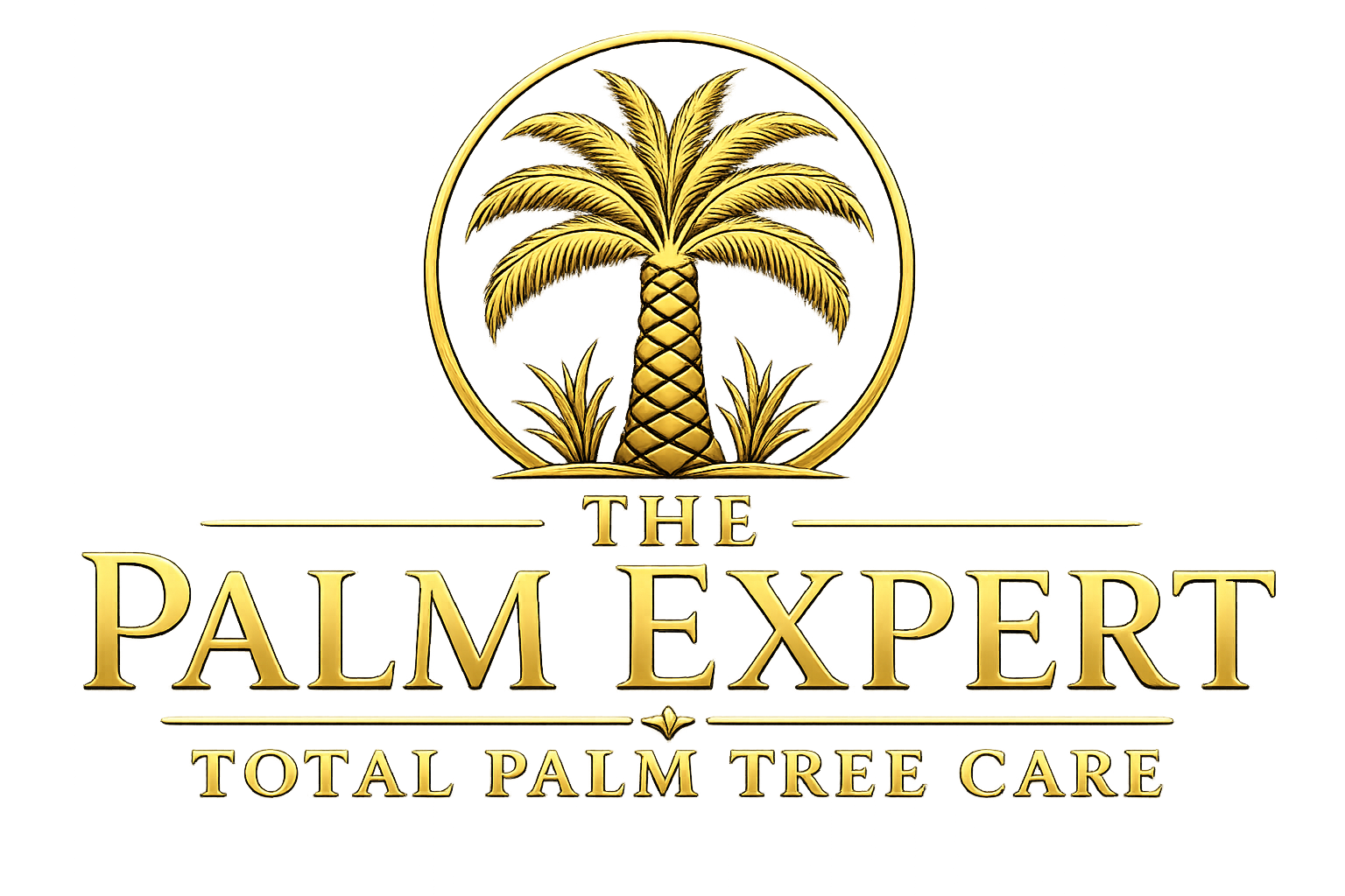 The Palm Expert Logo